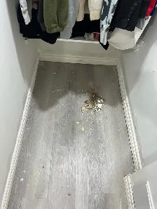 Door Baseboard Trim Replaced $100