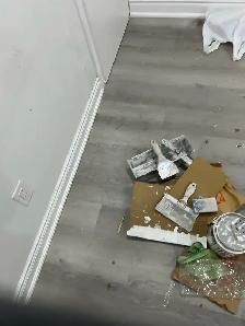 Door Baseboard Trim Replaced $100 - Photo 3
