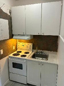 Centretown Basement Bachelor/Studio for Rent (192 Somerset St W) - Photo 5