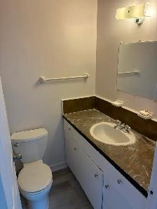 Centretown Basement Bachelor/Studio for Rent (192 Somerset St W) - Photo 9