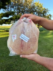 meat bird for sale frozen