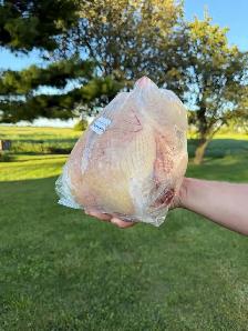 meat bird for sale frozen - Photo 2