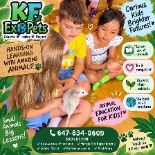 Kids’ Birthday Party • Animal show for kids and more !