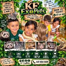 Kids’ Birthday Party • Animal show for kids and more ! - Photo 2