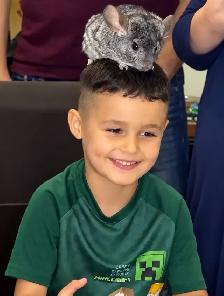 Kids’ Birthday Party • Animal show for kids and more ! - Photo 3