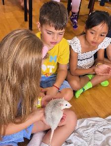 Kids’ Birthday Party • Animal show for kids and more ! - Photo 4