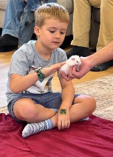Kids’ Birthday Party • Animal show for kids and more ! - Photo 5