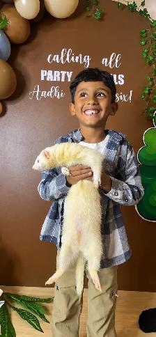 Kids’ Birthday Party • Animal show for kids and more ! - Photo 6