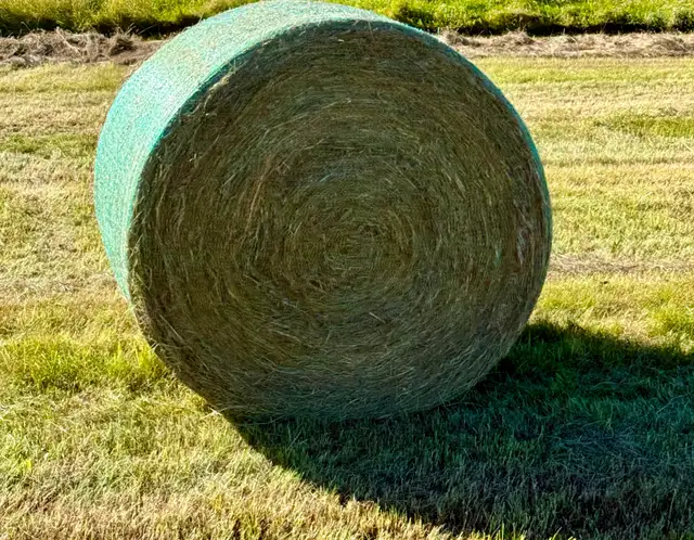 ALBERTA HAY FOR SALE — MAYERTHORPE / EVANSBURG AREA