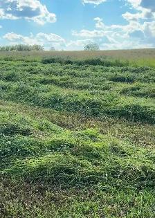 ALBERTA HAY FOR SALE — MAYERTHORPE / EVANSBURG AREA - Photo 2
