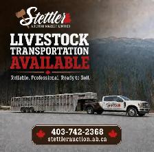 Weekly Livestock Auctions – Cattle, Sheep, Lambs & Goats - Photo 3