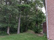 Appartement  4 1/2 à louer Saint-Luc,en bordure d'un boisé - Photo 3