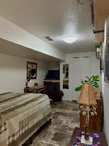 Basement Suite For Rent - Photo 4