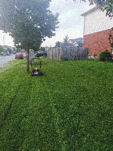 Lawn Cutting Barrie