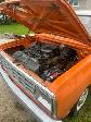 1982 D350 2WD - Photo 3