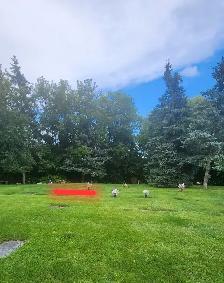 Whitby Mount Lawn Burial Plots - Photo 2