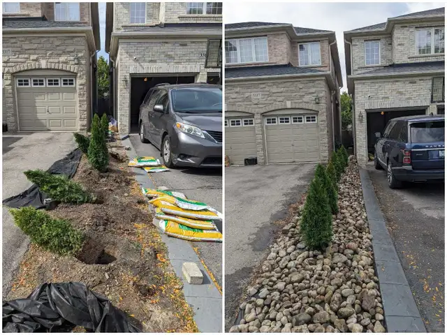 Professional Gardening