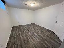 Holyrood lower Rental 1 Bed - Photo 5