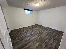 Holyrood lower Rental 1 Bed - Photo 6