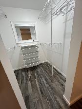Holyrood lower Rental 1 Bed - Photo 7