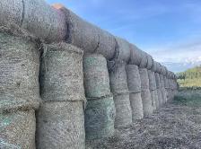 2025 Hay bales