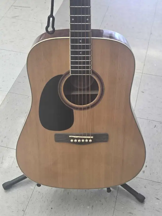Guitare acoustique Jay tusser