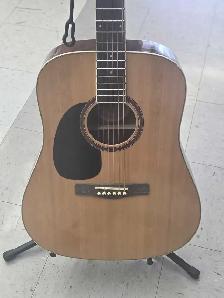 Guitare acoustique Jay tusser
