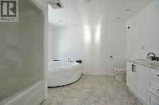 19yr Old Bathroom Fixture Business - Can Be Run Remotely - Photo 4