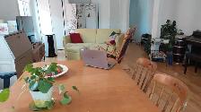 Logement à louer
