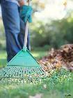 i offer to clean your yard or home