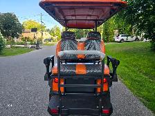 2026 Meeko ZXK-2 2 Electric golf cart for Rough Terrain Reverse - Photo 6
