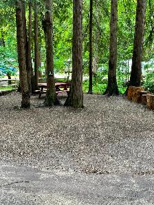 Live in Campground Maintenance Worker - Photo 3