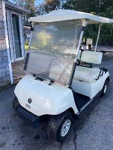 Golf Carts - Rental Stock Clear Out