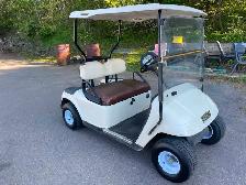 Golf Carts - Rental Stock Clear Out - Photo 2
