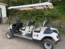 Golf Carts - Rental Stock Clear Out - Photo 6