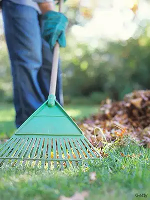 i offer to clean yards or house windows