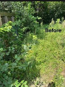 Fall Leaf Cleanup & Lawn Care Services - Photo 4