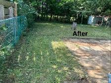 Fall Leaf Cleanup & Lawn Care Services - Photo 5