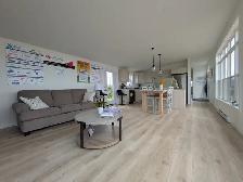 New Furnished House for Sale by TENDER - Photo 3