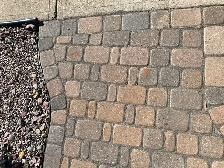 FREE Paver Stones - Photo 3