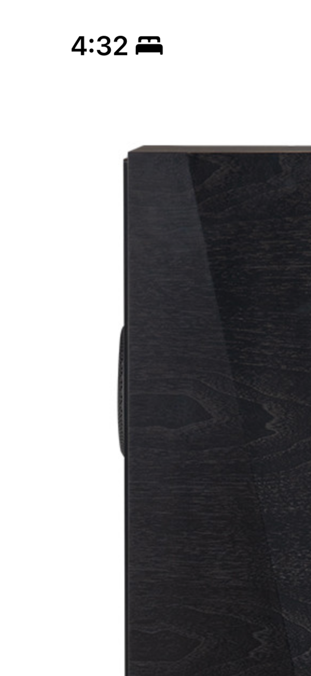 Paradigm Founder 100F High End speakers $ 4900 obo