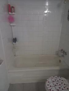 Rooms Available - Photo 7