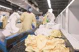 Cleanroom Workers