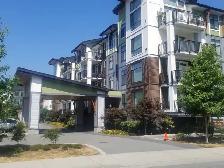 $1385/1 Bedroom/One Bathroom Plus Den - Oct 1st - Photo 10