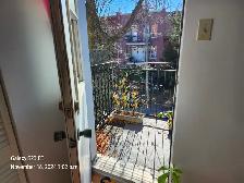 plateau Mile-End 3 1/2 - Photo 8