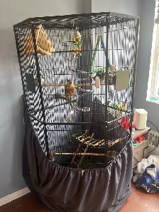 Bird With, Cage - Photo 2