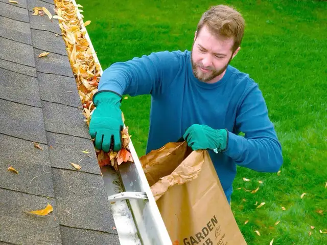 Gutter/Roof  Cleaning position available