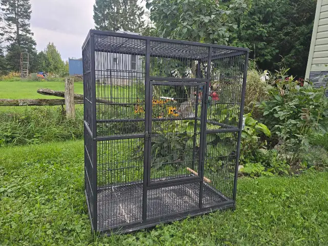 Bird Cages