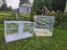 Bird Cages - Photo 2