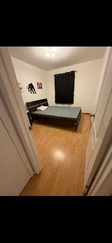2 bedroom house for rent - Photo 2